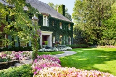 Beautiful Home with Ivy on house