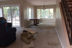 Interior Exterior Painting (14)